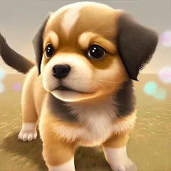 Взломанная Dog Town: Puppy Pet Shop Games (Догтаун)  [МОД Mega Pack] - последняя версия apk на Андроид