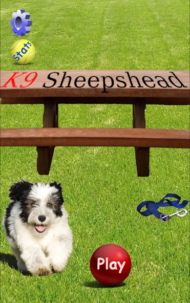 K9 Sheepshead (Schafkopf) (Шипсхед)  [МОД Много монет] Screenshot 1