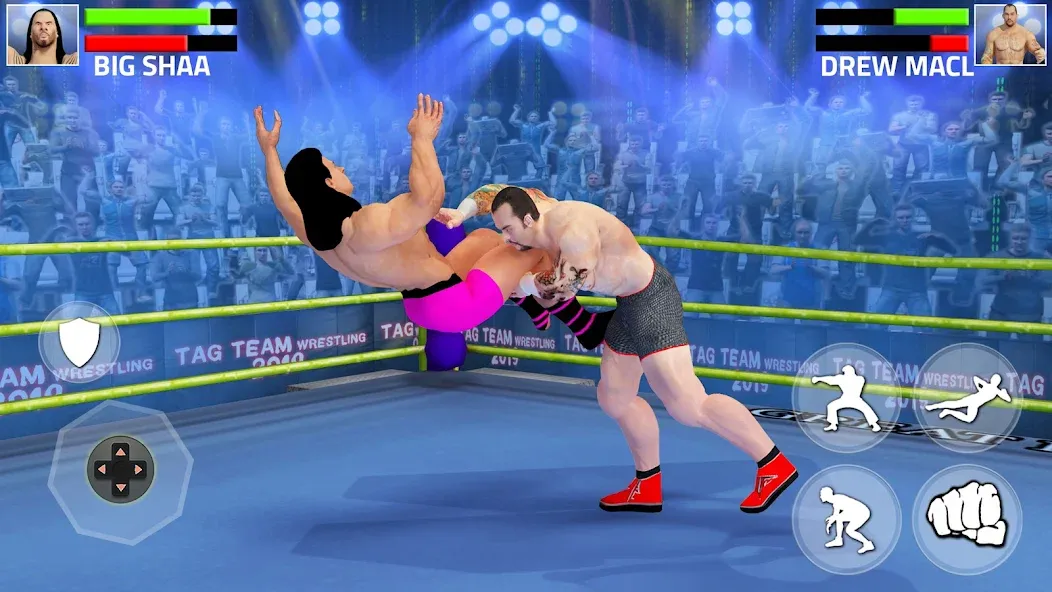 Tag Team Wrestling Game (Таг Тим Реслинг Гейм)  [МОД Unlocked] Screenshot 5